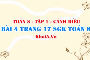 Bài 4 trang 17 SGK Toán 8 tập 1 Cánh Diều